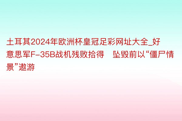 土耳其2024年欧洲杯皇冠足彩网址大全_好意思军F-35B战机残败拾得　坠毁前以“僵尸情景”遨游